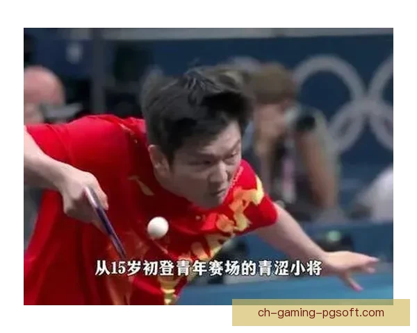 乒乓球冠军：登顶之路何去何从