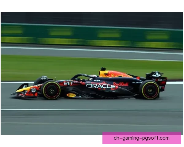 全面解读F1赛车技术与驾驶技巧视频教程 全面解读F1赛车技术与驾驶技巧视频教程