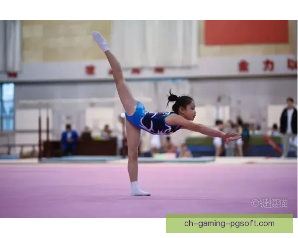 体操新思维：青少年训练指南