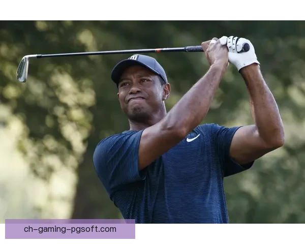 PGA锦标赛-最新比赛进展