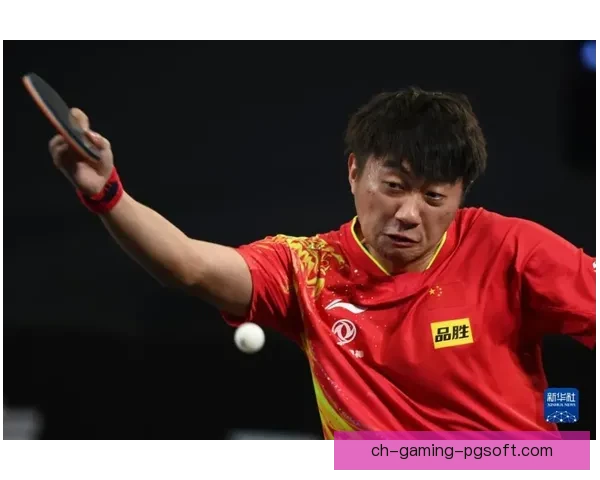 全方位解读网球比赛：规则、战术与明星选拔