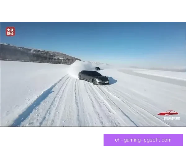 冰上风云：鏖战冰面的世界滑冰锦标赛