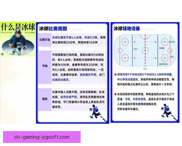 冰球运动中的规则及其影响因素分析 冰球运动中的规则及其影响因素分析