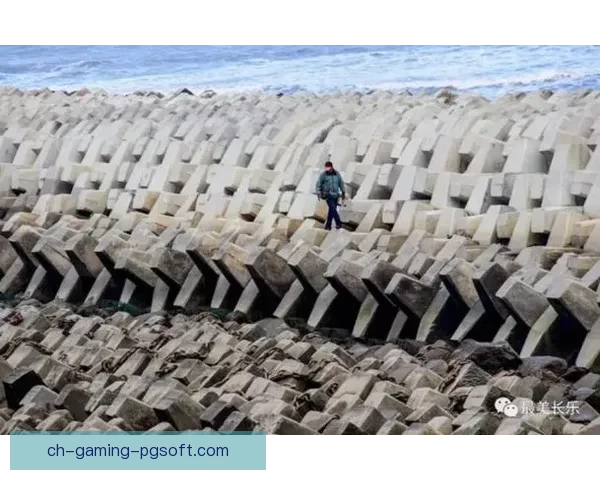 冲浪数据分析：潮起潮落，看懂波纹间的智慧