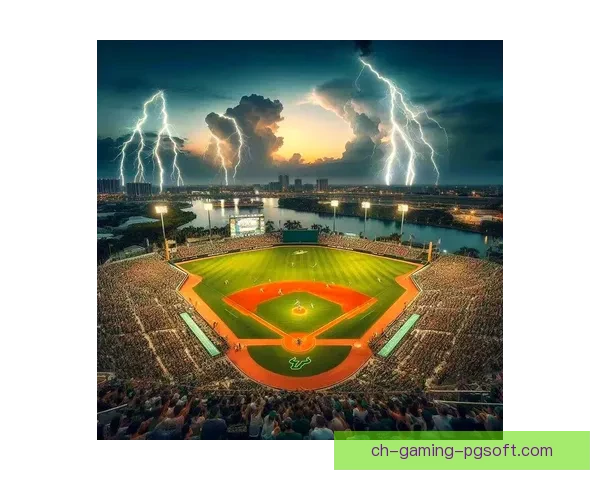 棒球狂热：探索全新的锦标赛魅力