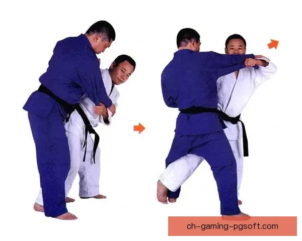 柔道投技精要：技巧应用与实战技能详解