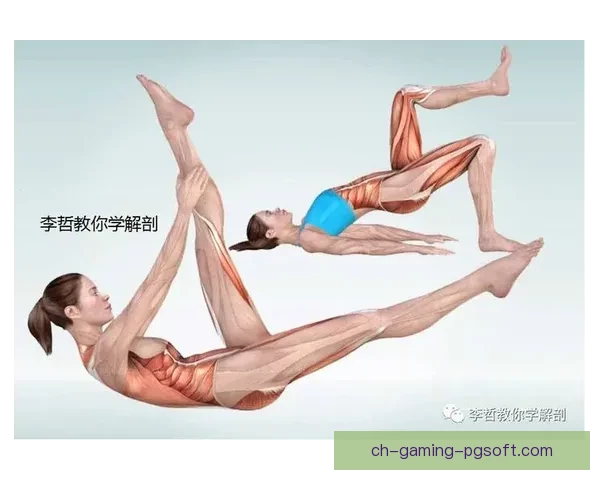 普拉提盘口分析：强身健体的全方位锻炼方式