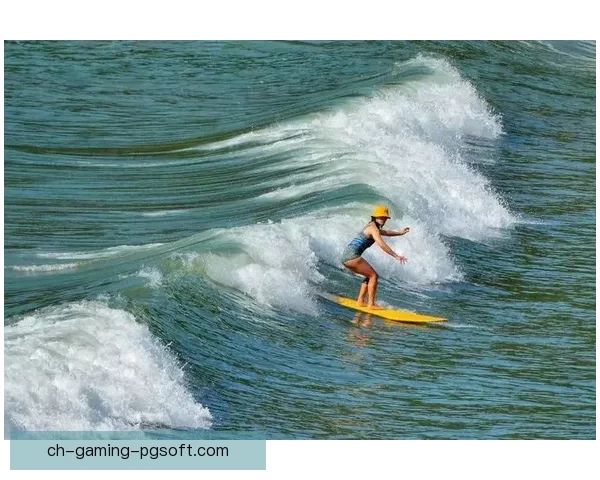 激情冲浪：探寻海洋奥秘