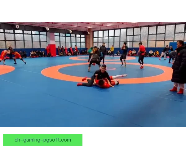 激情角逐！探秘摔跤大奖赛背后的辉煌与荣耀