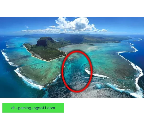 盛夏畅游，水下探幽，奇趣无限，潜入直播海底