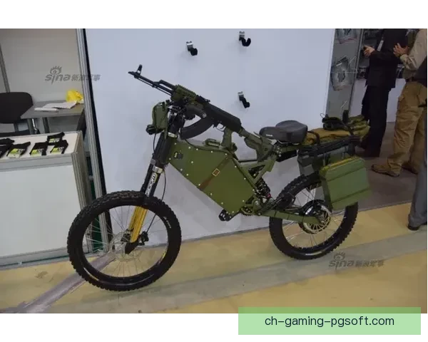 自行车对战分析：战术策略与技术应用的探讨