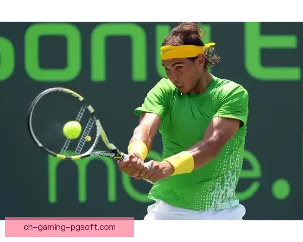 经典回顾：网球赛事全程回放